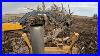 Excavator-And-Dozer-Clearing-Trees-Deisel-Excavator-Bulldozer-Deere-210g-850c-Diesel-01-um