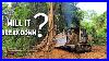 How-A-Small-Dozer-Breakdown-A-Big-Tree-Dozer-Clears-The-Forest-Into-A-Plantation-01-kkis