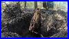 John-Deere-35d-Mini-Excavator-Pulling-Up-Stumps-01-klnp