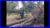 John-Deere-35g-Mini-Excavator-Taking-Down-Massive-Hardwood-Tree-01-xx
